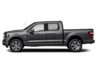 2023 Ford F-150 Platinum 4WD SuperCrew 5.5' Box Agate Black Metallic  Shot 5