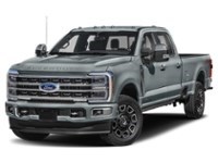 2024 Ford Super Duty F-350 DRW Platinum 4WD Crew Cab 8' Box Carbonized Grey Metallic  Shot 31